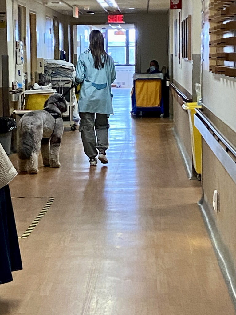 Claudia et Bear visitent les patients de l’unité de soins palliatifs de l’Hôpital général juif