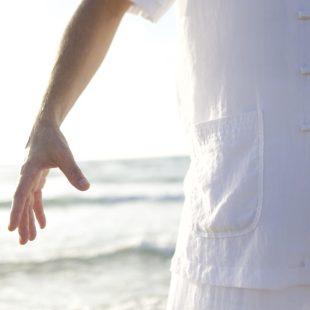 Qi Gong Wild Goose Oie sauvage